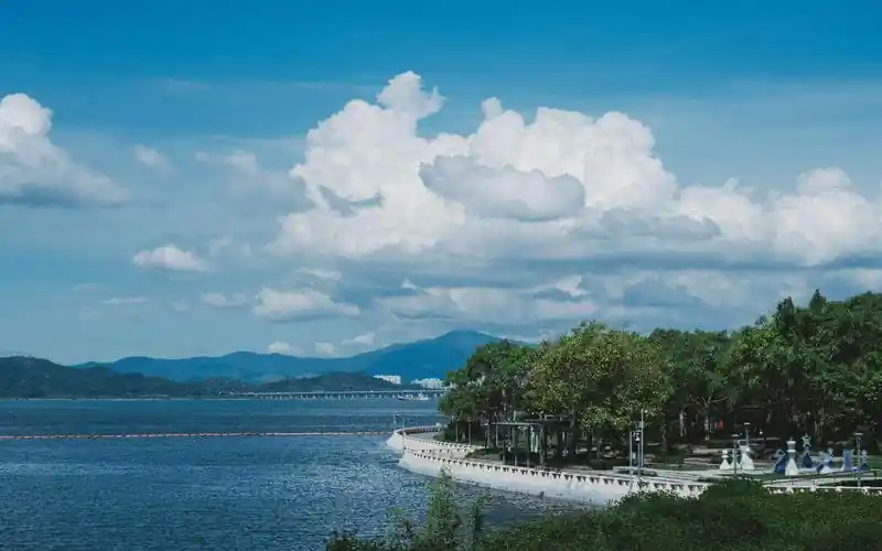 企业缴纳各类保险的会计分录全流程